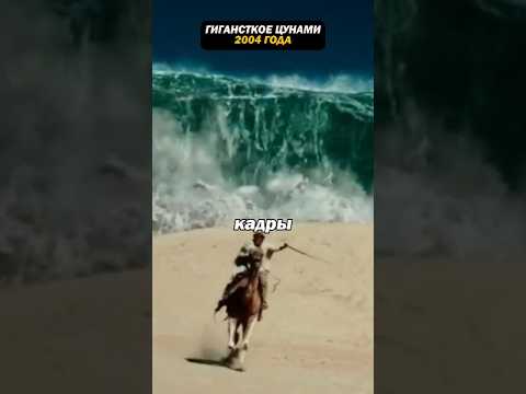 Гигантское цунами 2004 года