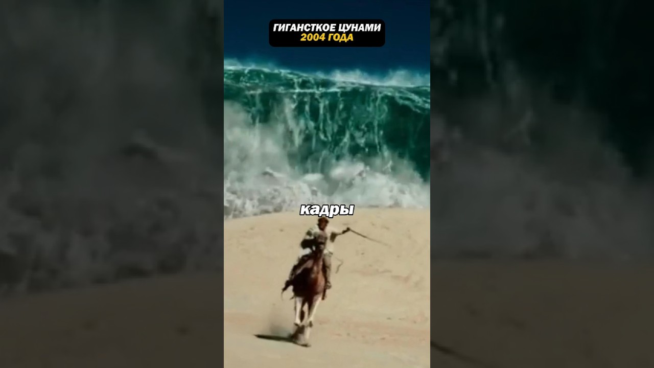 Гигантское цунами 2004 года