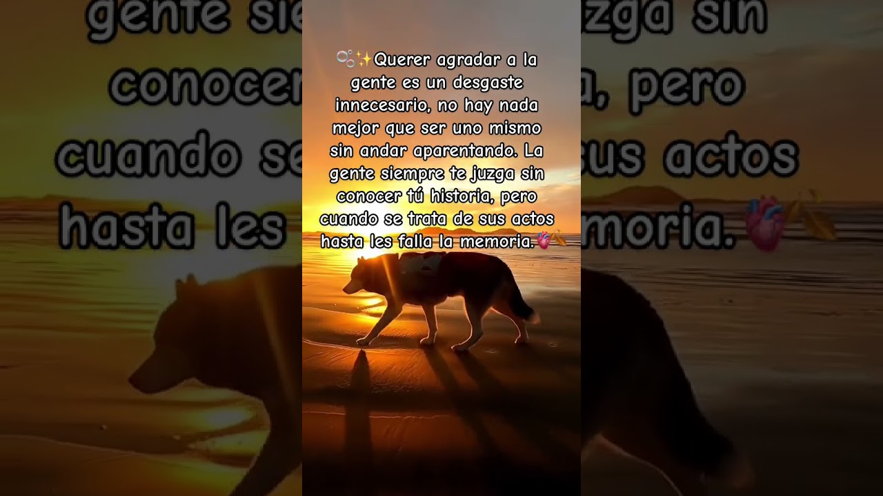 Reflexiones sobre Parejas y Vida ❤️