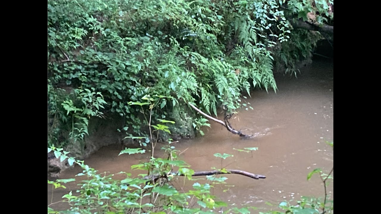 Indian Trail Reveals Old Male Graves 🌿