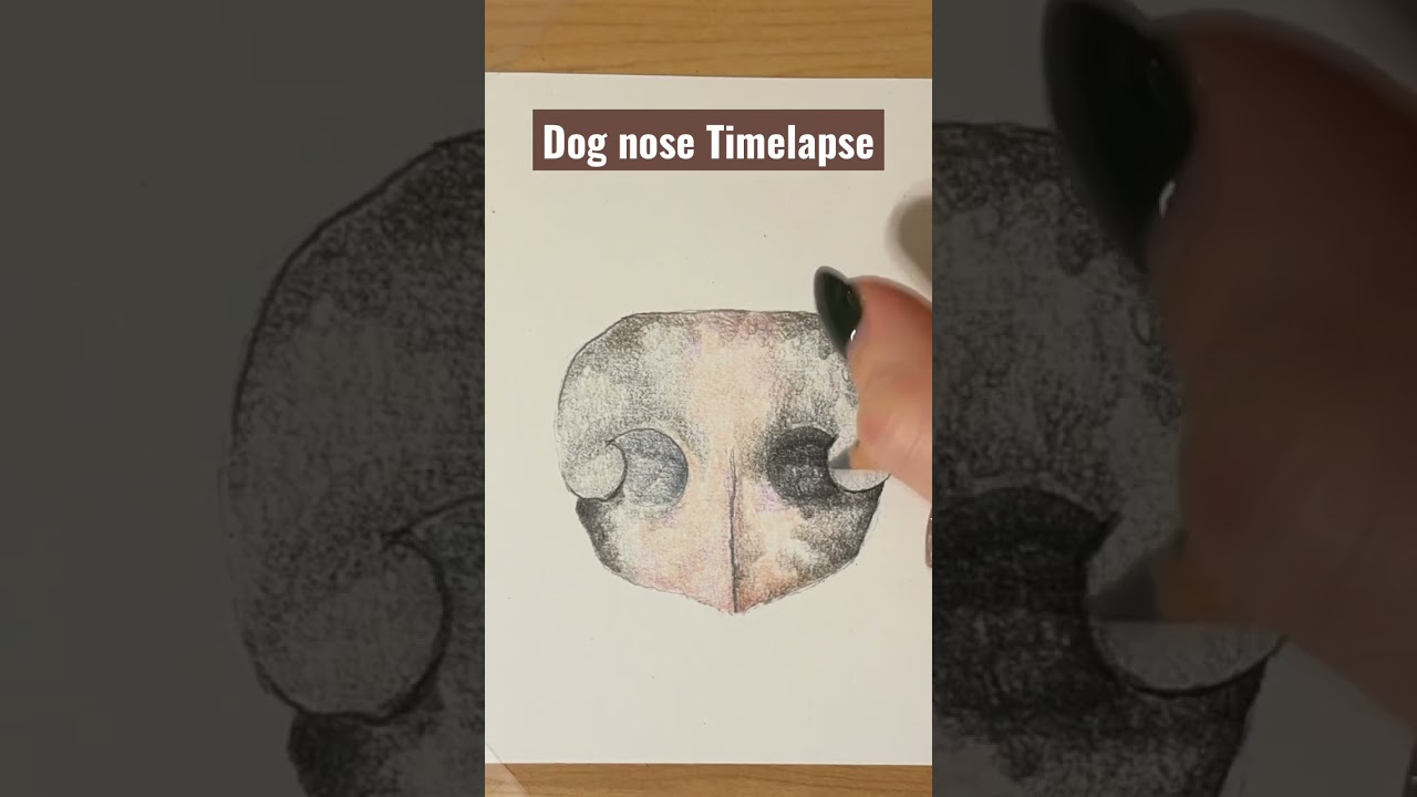 Realistic Dog Nose Art Timelapse 🐶