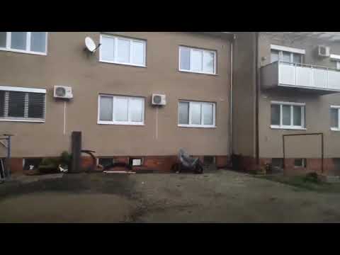 Pes - Tornádo Morava 24.6. 2021