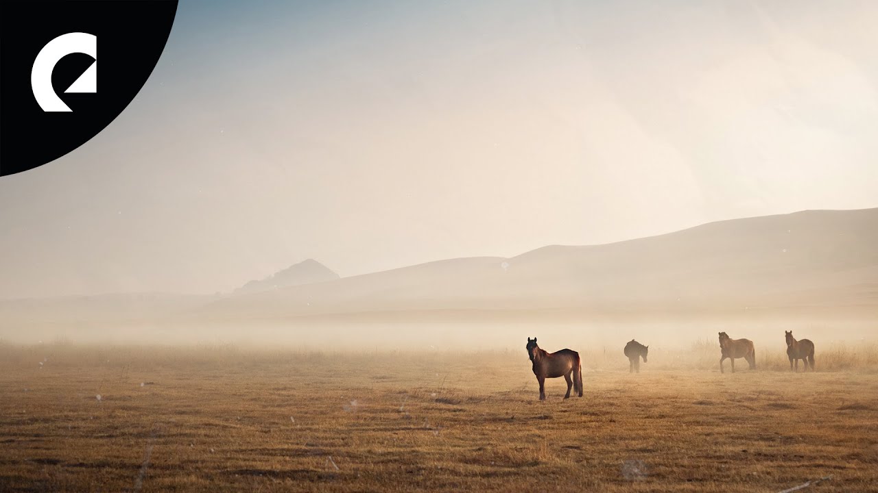 Bo the Drifter - Embrace a Simpler Life 🎶