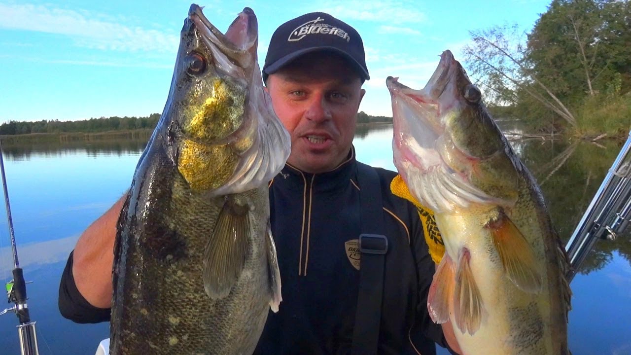 Ночная рыбалка в лодке: шлюз ГЭС, трофеи на Днепре и конкурс! 🎣