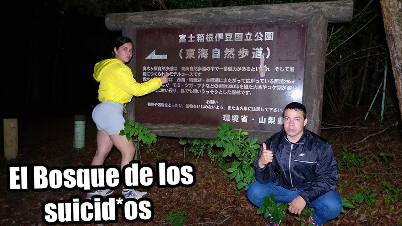 Explorando el Bosque de los Suicidios en Aokigahara: ¿Qué sucede realmente allí?