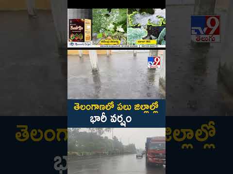 Cyclone Montha Effect in Telangana : తెలంగాణలో పలు జిల్లాల్లో భారీవర్షం - TV9