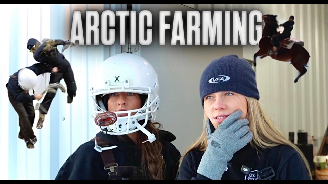 Arctic Farming & Sunglasses Deal βοΈ