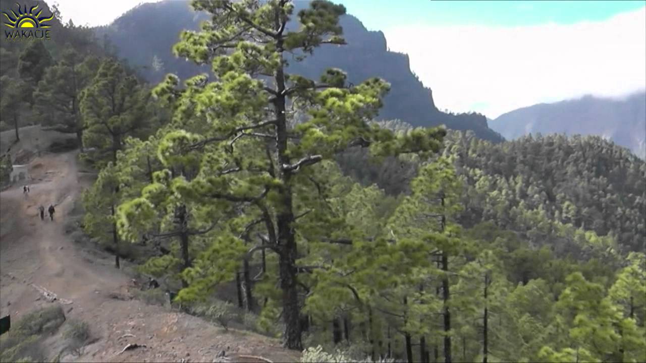 Caldera de Taburiente, La Palma, Canary Islands 🌋