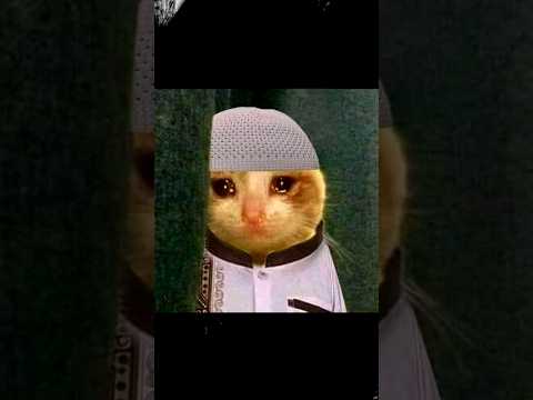 الجزء 2 | قصه ازاي كنت هتخطف وانا بصلي العيد !!