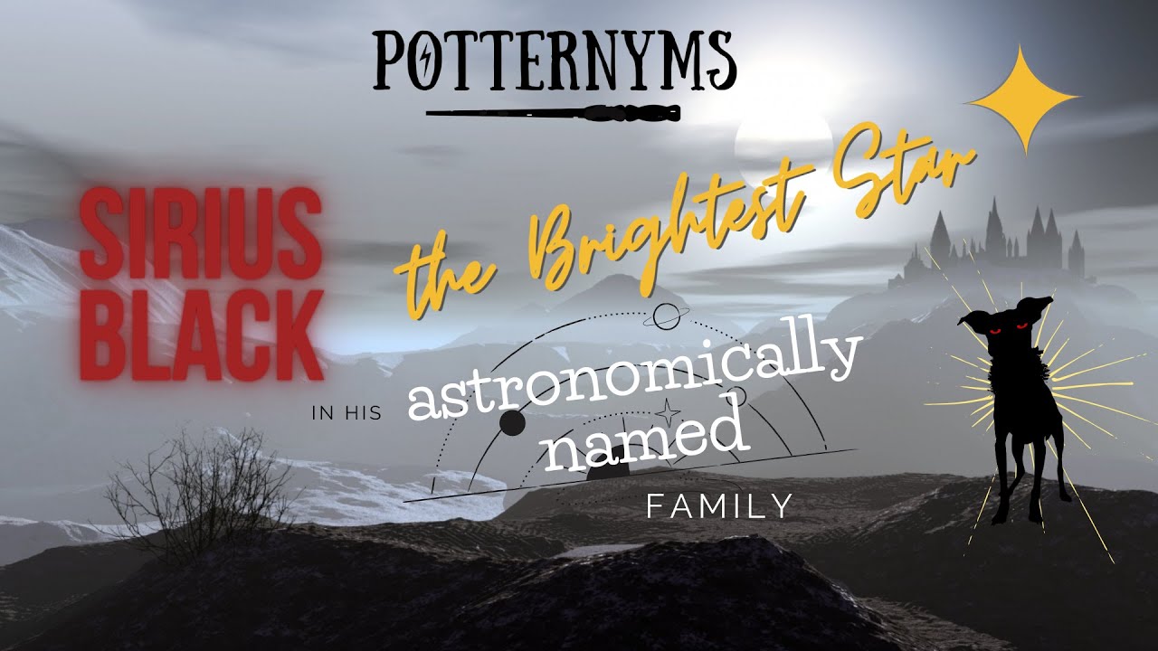 Sirius Black: The Bright Star of the Wizarding World ✨