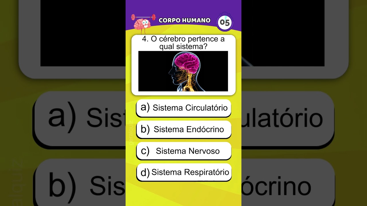 Quiz sobre o Corpo Humano - Perguntas e Respostas