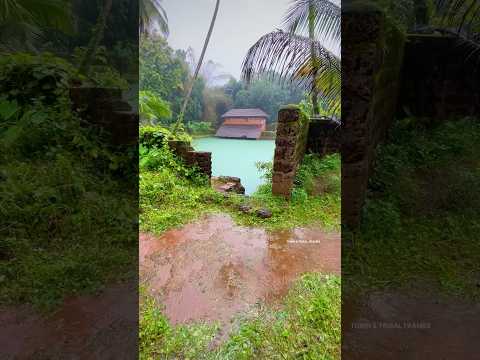 its raining in kerala..!! #kerala #rainyday #rainsounds #raining