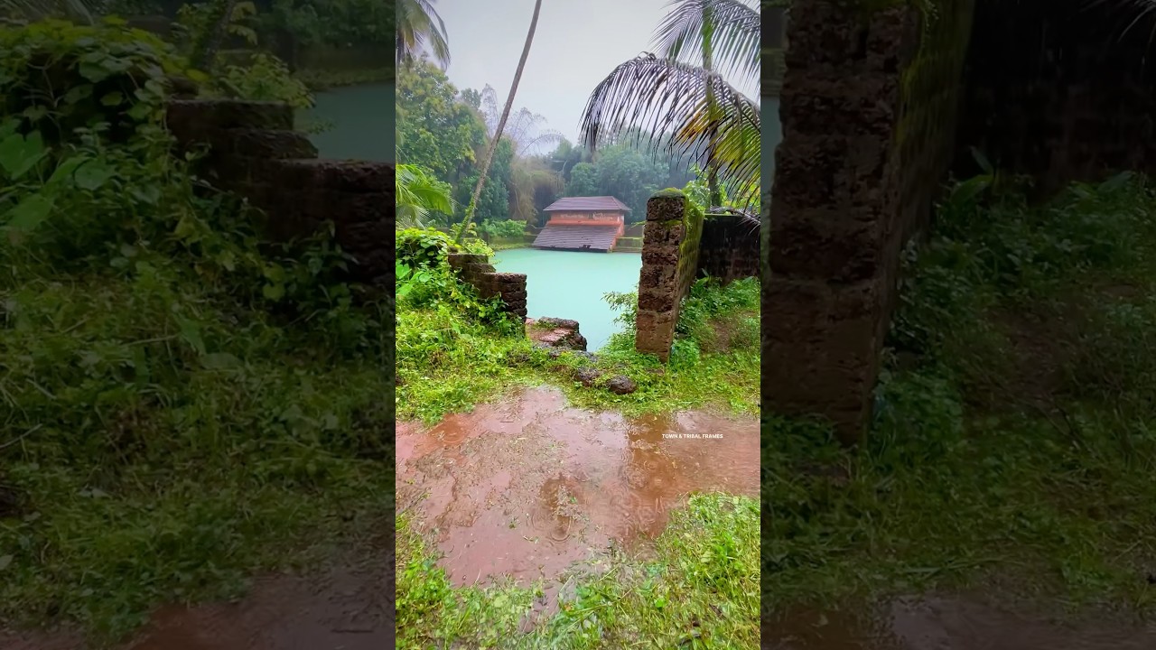 Enjoy the Rainy Day in Kerala