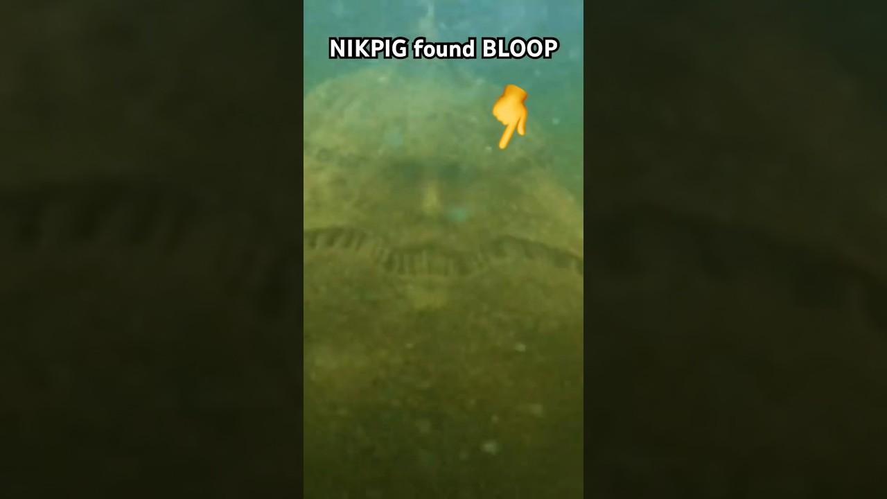 NIKPIG Discovers the Real Bloop! 🎉