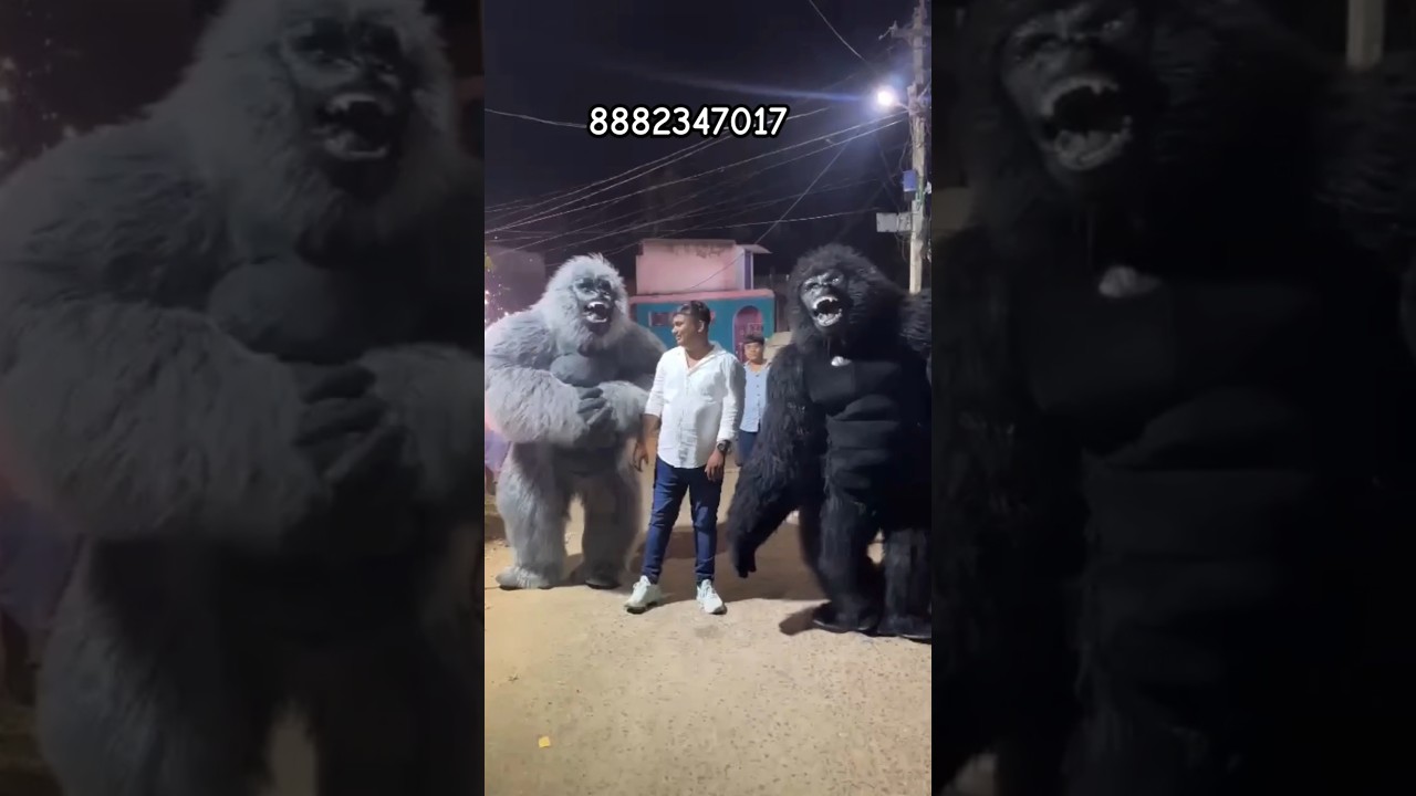imported fur dress costume gorilla🦍#entertainment #dress #china #ytshorts #yt #delhi #newyoutuber