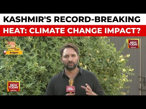 Kashmir Valley Sizzles: Heat Wave Breaks 134-Year Temperature Record | India Today News