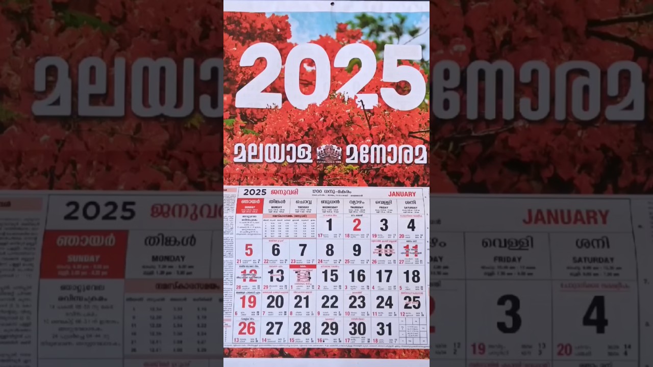 2025 Calendar Overview 📅