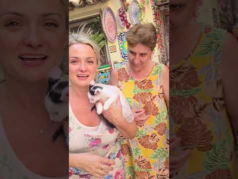 Noul membrul al familiei mele #bellisiciliani #amaliabellantoni #cat #cats