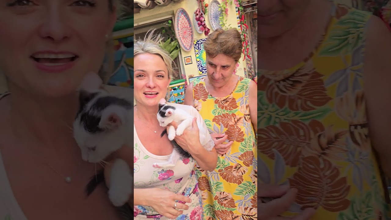 Meet the Newest Member of Our Family! 🐱