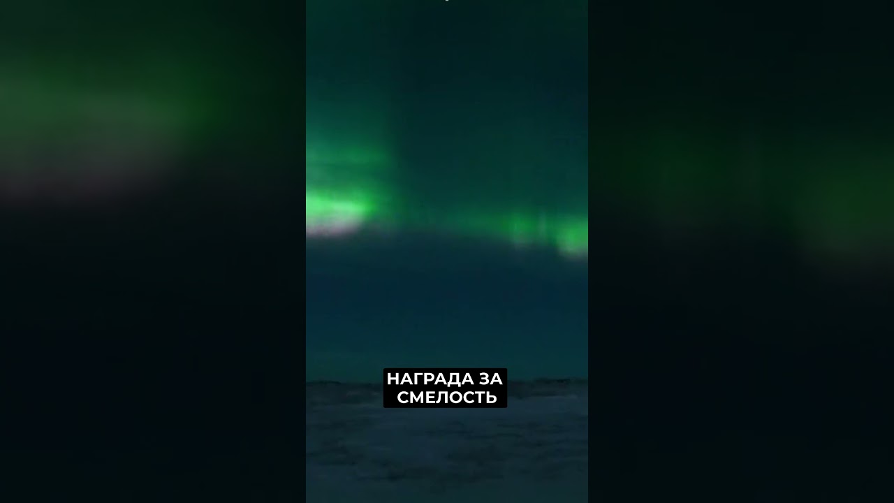 Экспедиция 'Доступная Арктика' завершена на Ямале