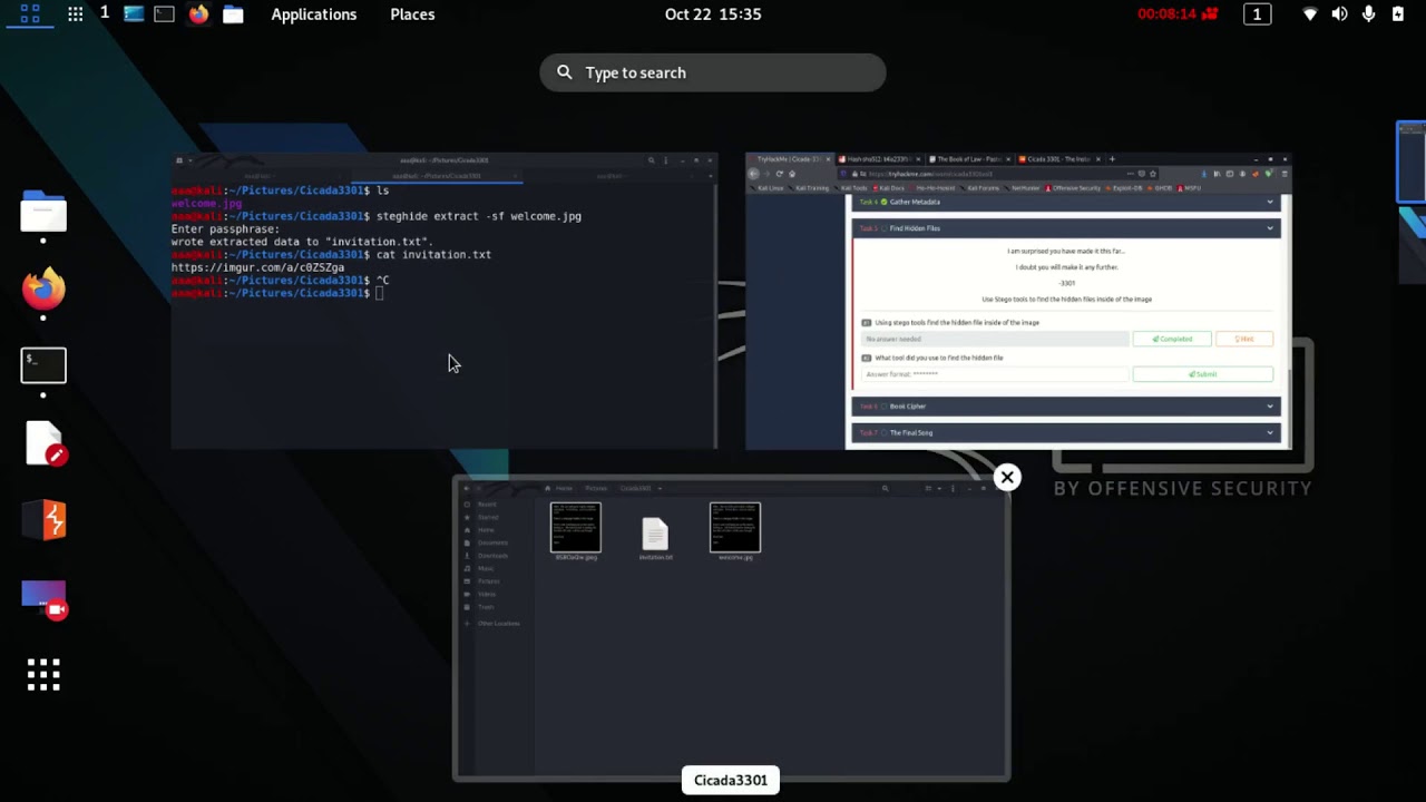 Master the Cicada-3301 CTF Challenge on TryHackMe ๐