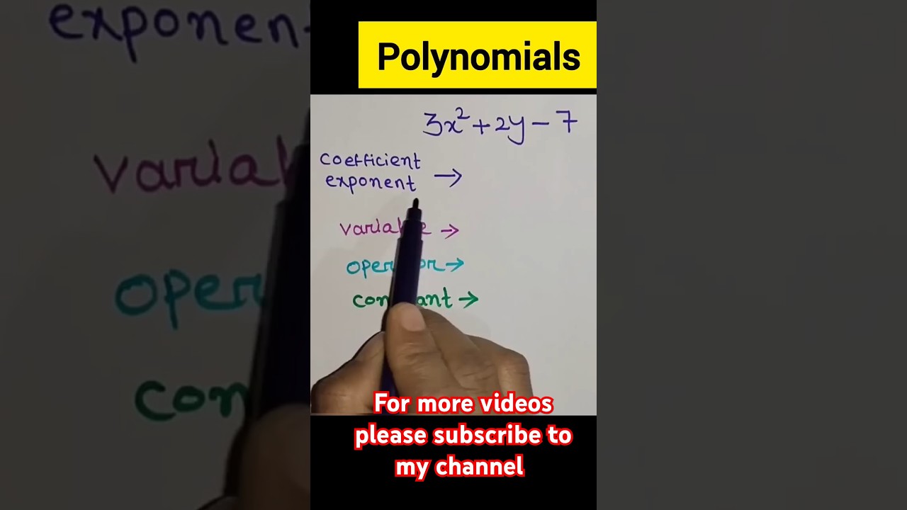 What is a Polynomial? Types and Explanation