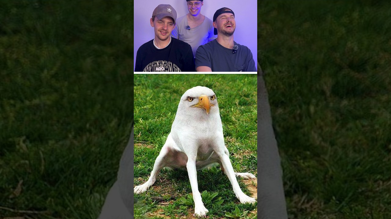 Don't Laugh! 70 Funny Videos π