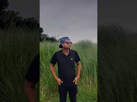 Kotha Arman Alif #Shorts