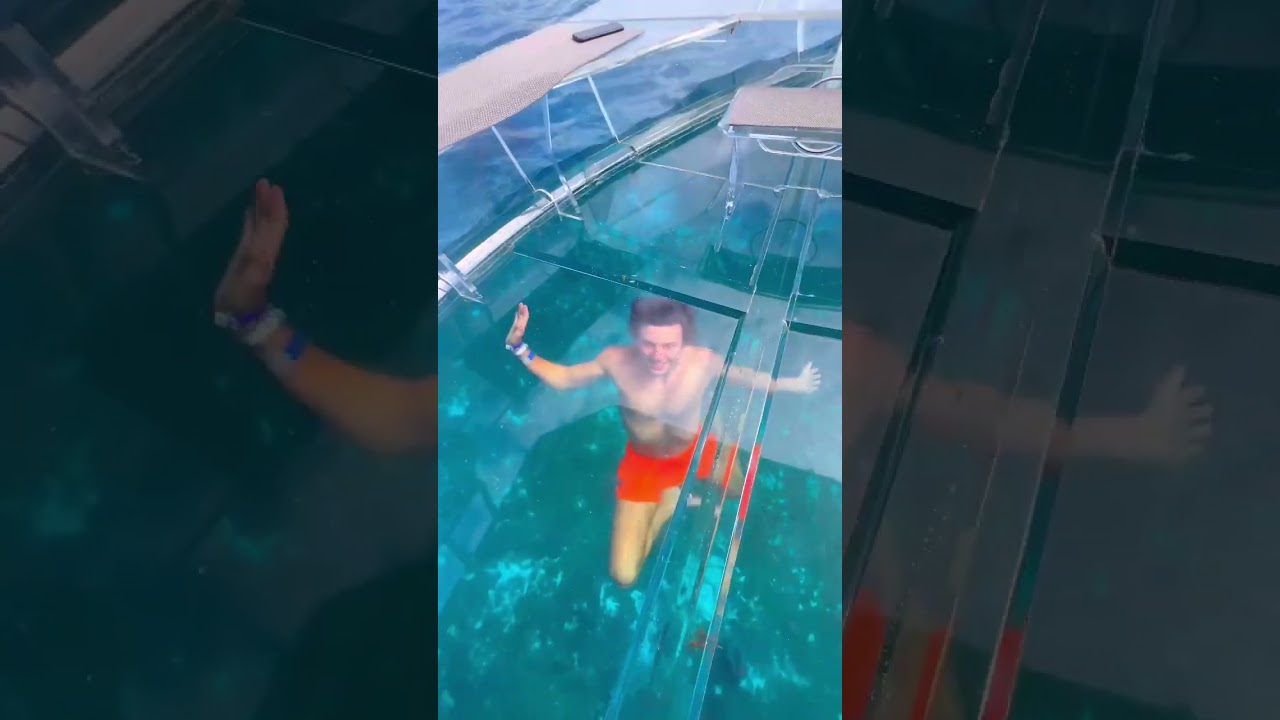 Clear Boat Experience in Cozumel, Mexico! 🚤