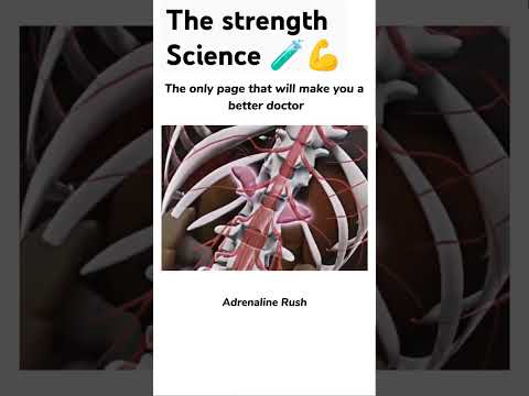 Adrenaline Rush Explained: The Science Behind the Thrill