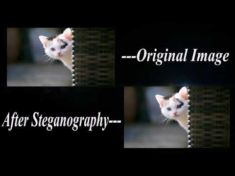 Steganography Explained - Sending Secret Messages in Images | By Amanpreet