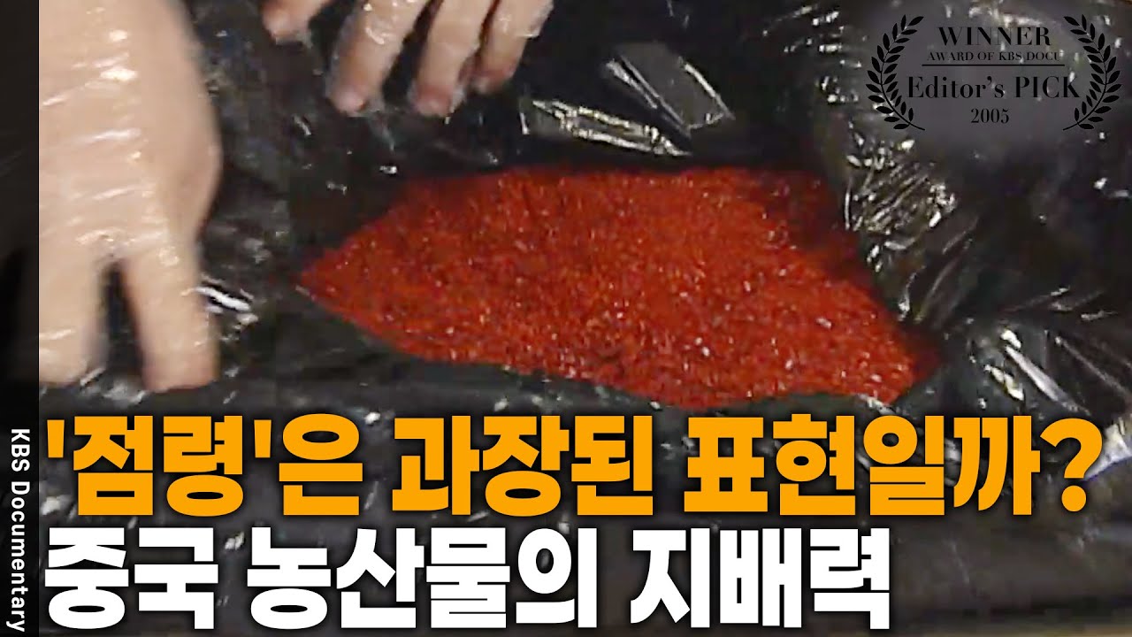 중국산 채소 의존도 90% 이상? 🇨🇳