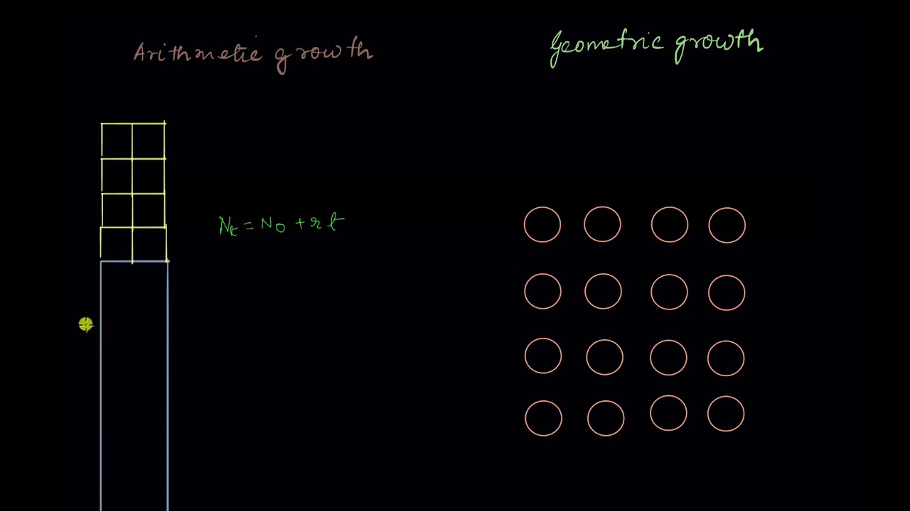 Arithmetic vs. Geometric Growth in Plants 🌱 | Biology Explained