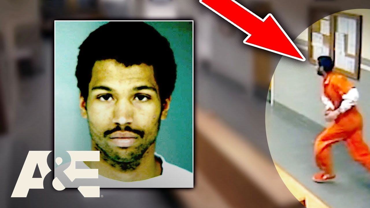 Handcuffed Man Escapes Court, Takedown by Bailiffs 🚓