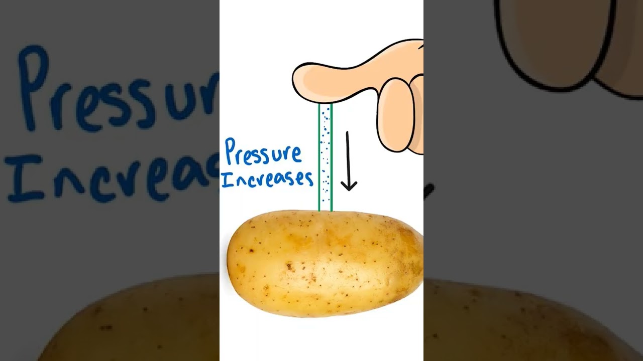 Test Your Gullibility! 🤔 Are You Easily Fooled?