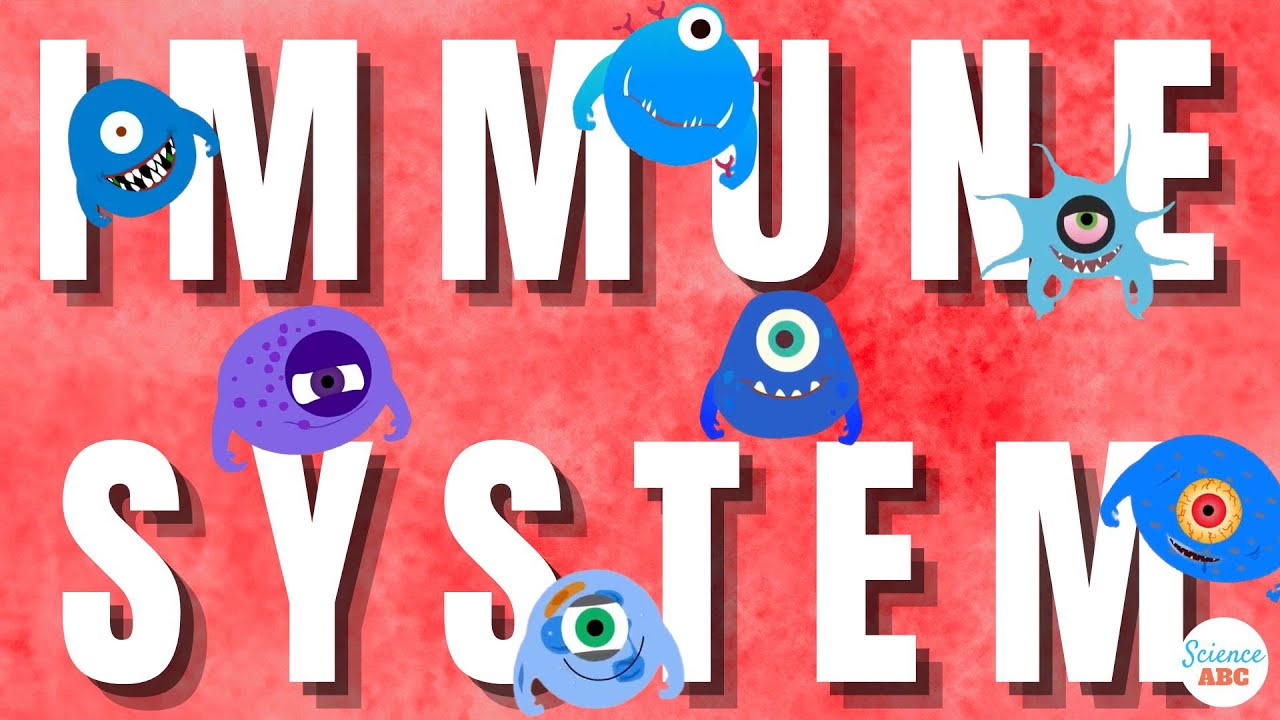 Immune System: Innate & Adaptive Immunity Explained 🛡️