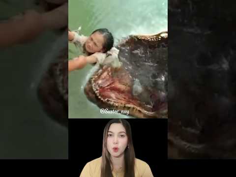 BOCIL INI DILAHAP MONSTER⁉️ #alurceritaflim #drama #korea #cina #monster #hiu #hewan #binatang