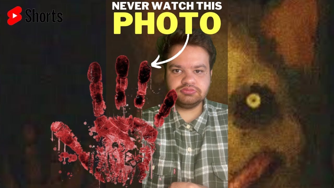 Warning: Do Not View This Dog Photo! 🐶