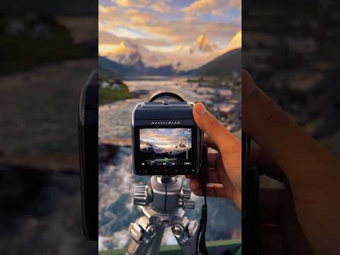 Hasselblad 907X & CFV 100C | 100MP Captures the Golden Peak