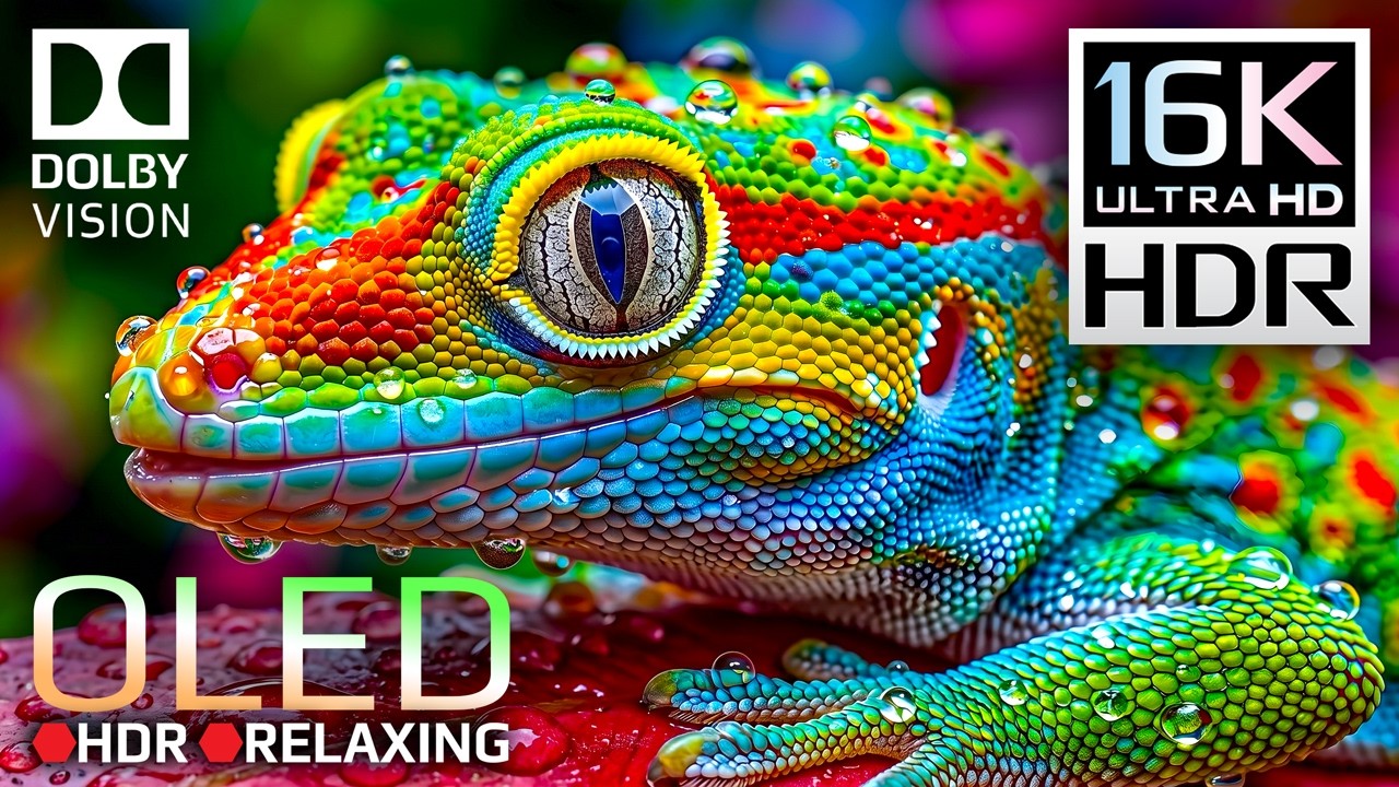 Ultimate OLED HDR Test: Dolby Vision 16K 240 FPS 🌟