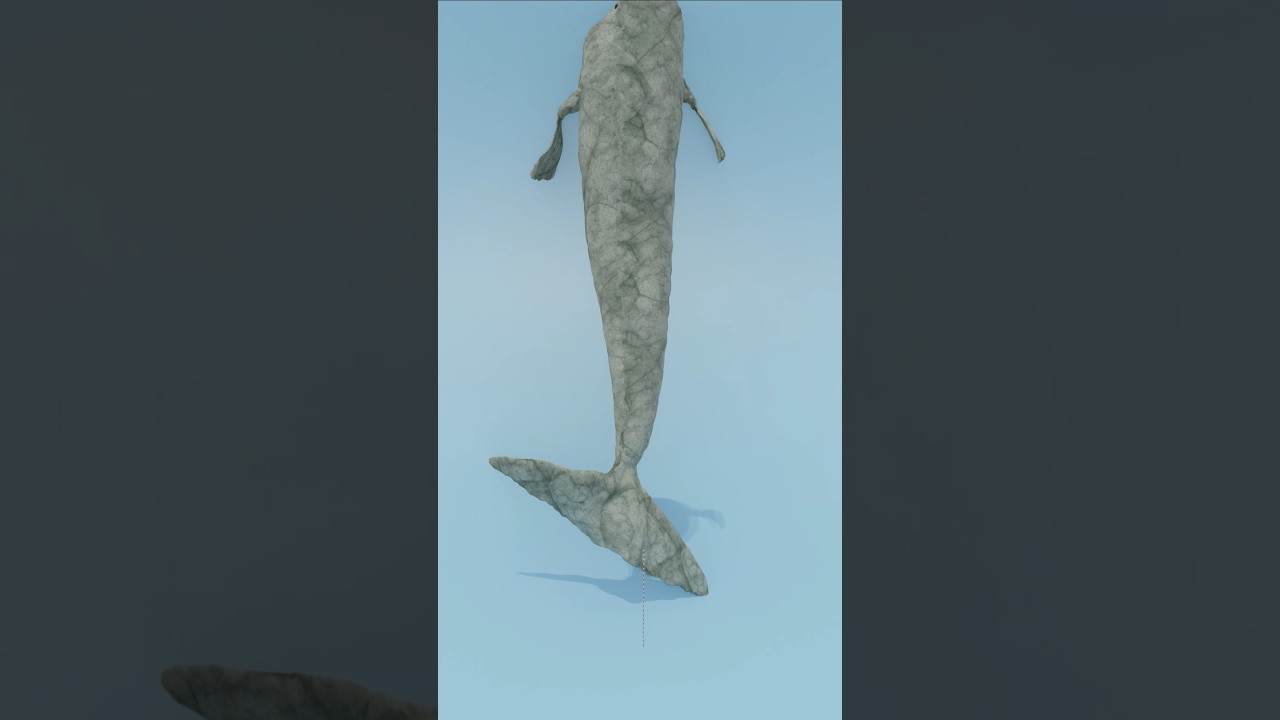 Bloop Height Comparison 📏