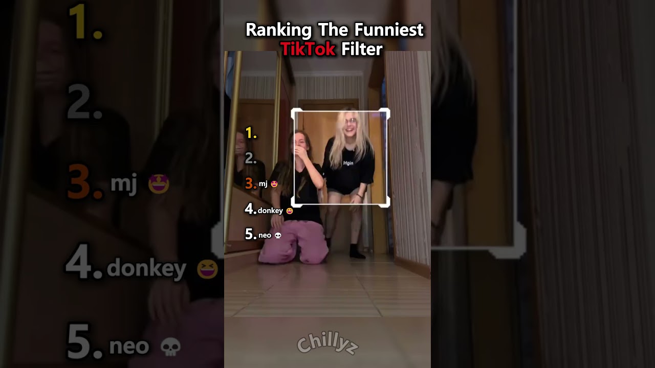 Top 10 Funniest TikTok Filters 😂