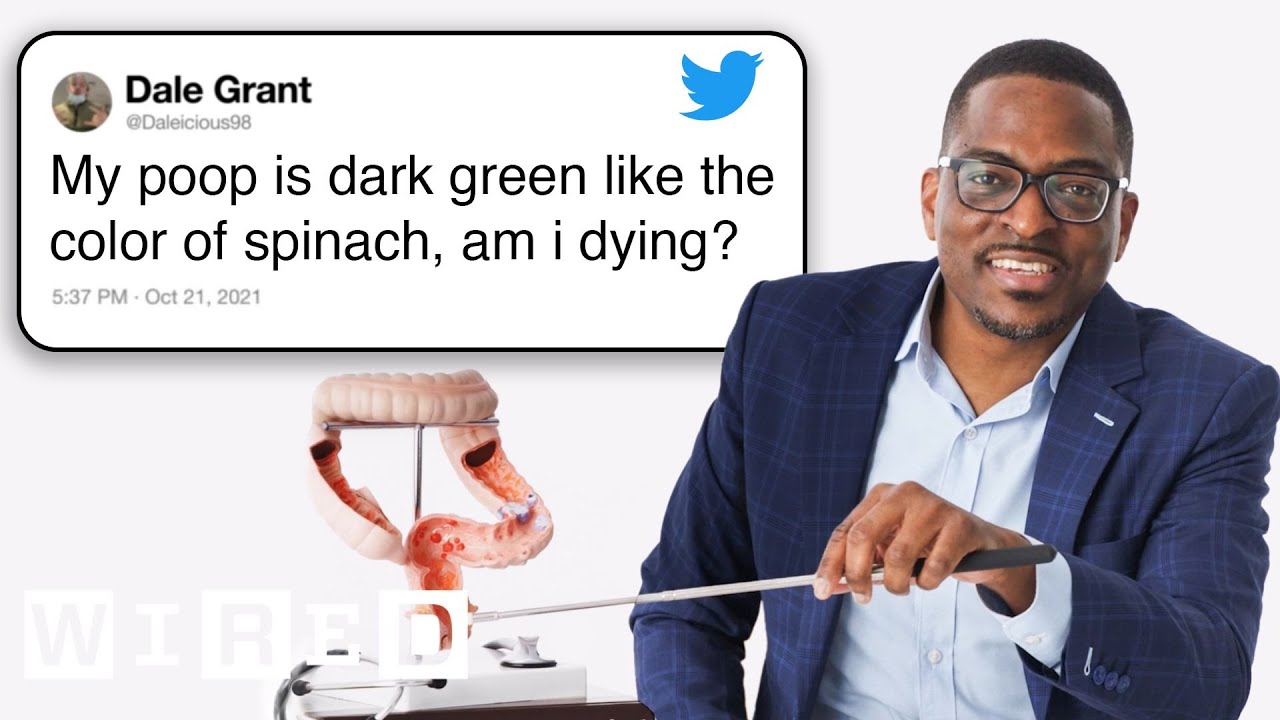 Doctor Ugo Iroku Addresses Common Gut Health Questions from Twitter | WIRED