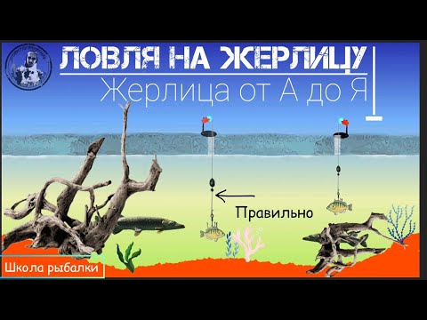 ЖЕРЛИЦА на ЩУКУ и др. Где и как ловить? ЗНАЙ И ЛОВИ. Школа рыбалова.(Ч.1)