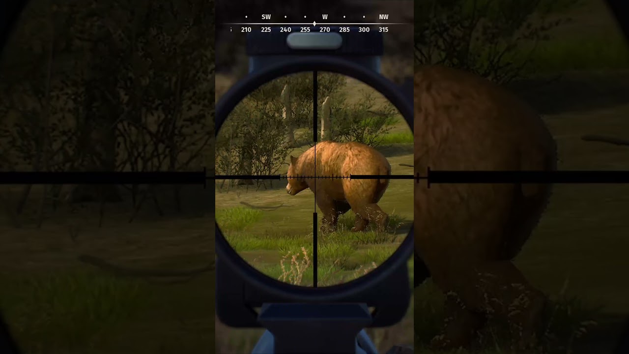 5-Star Kodiak Bear in Way of the Hunter 🐻