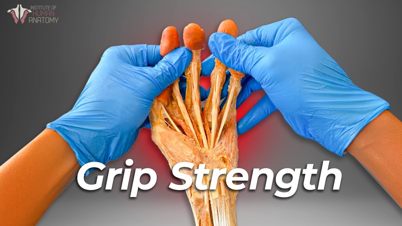 Can Grip Strength Predict Longevity? πͺ