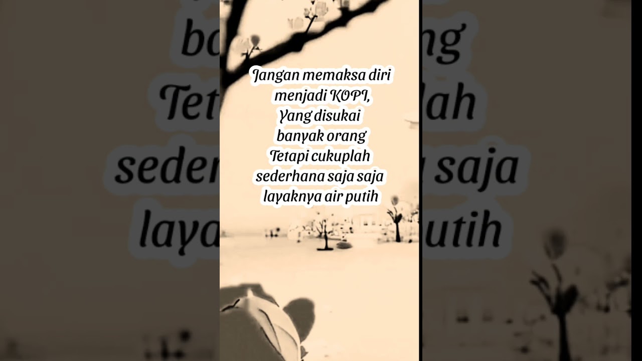 Kata-Kata Bijak dan Nasehat Inspiratif untuk Hidup Lebih Bermakna β¨