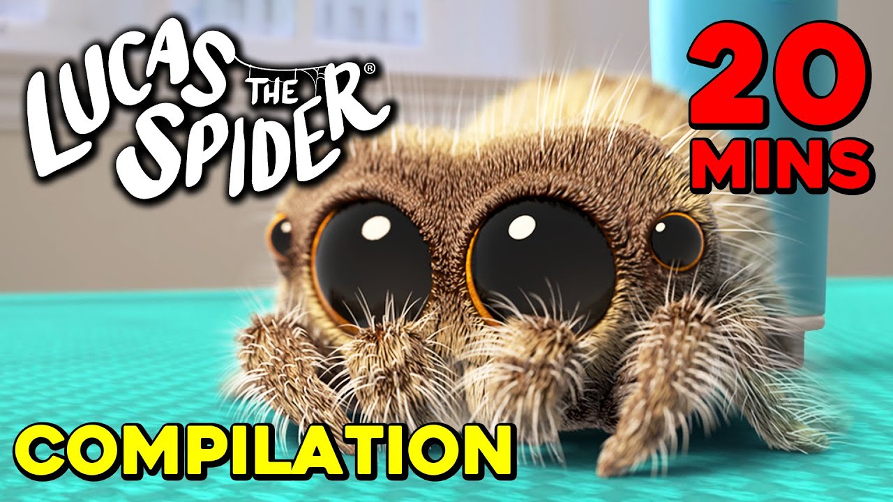Enjoy 20 Minutes of Cute Lucas the Spider Episodes! 🕷️
