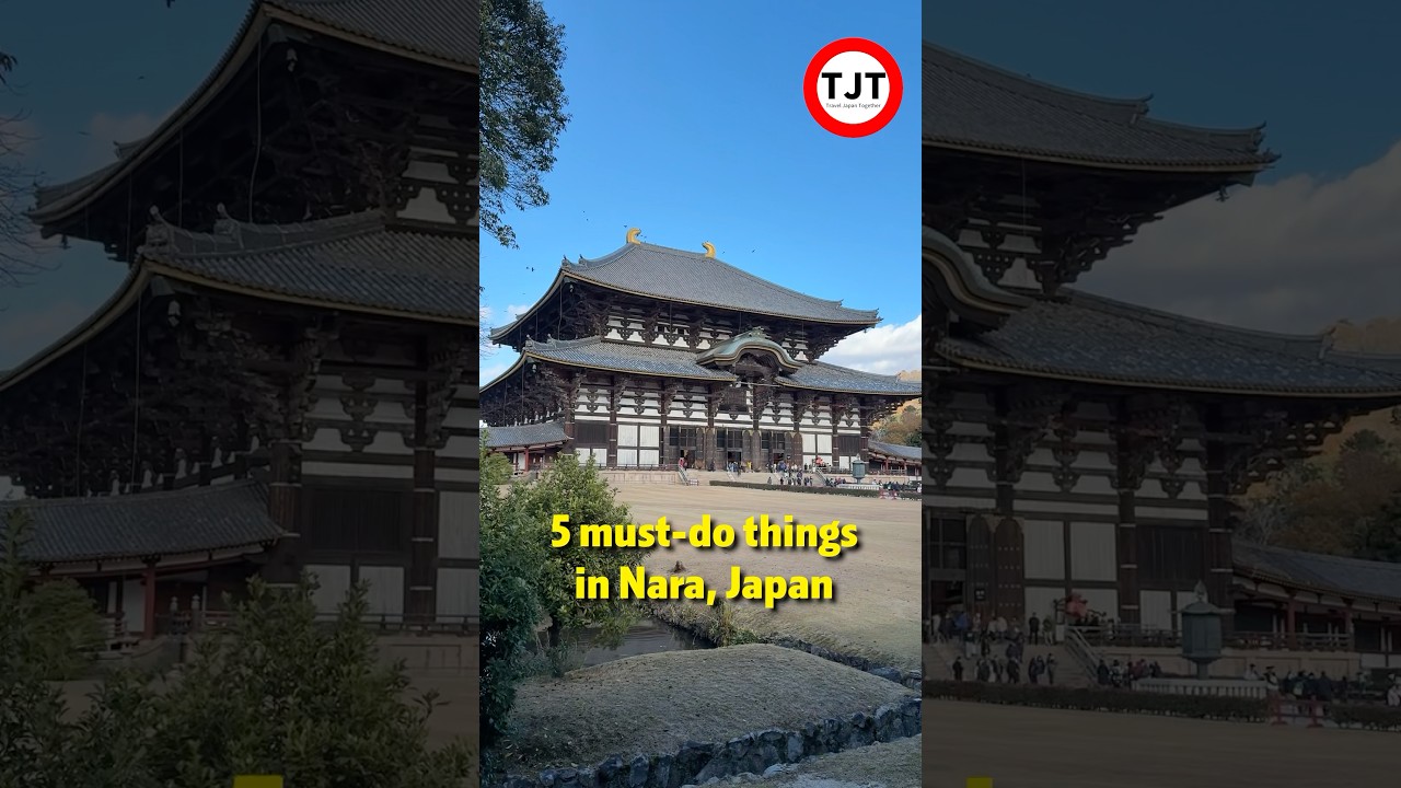 5 Top 5 Must-Do Activities in Nara π¦