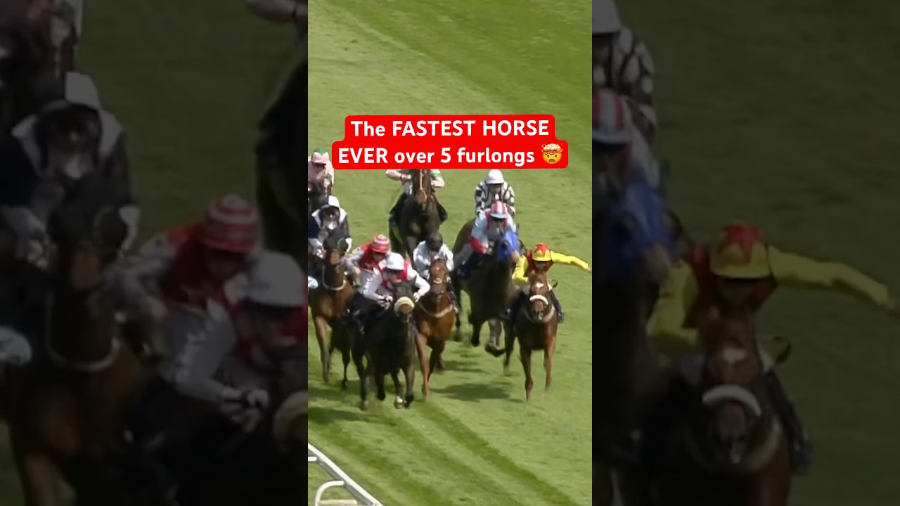Fastest 5-Furlong Horse Ever π